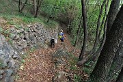 62 Ben tracciato e tenuto il sent. 594A riparato a monte da vetusti muri a secco ancora in buono stato